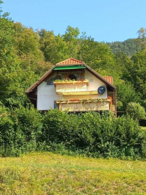 APARTMENT WITH A VIEW Bohinjska Bistrica